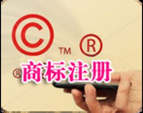 速度快張家港保稅區商標注冊代理機構 秀利供應